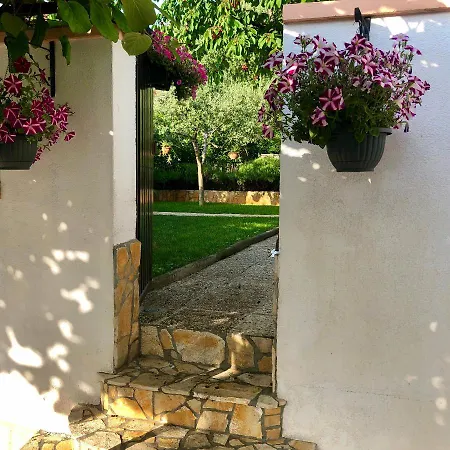 Corinne Garden Apartmán Novigrad Istria