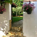 Corinne Garden Lejlighed Novigrad Istria